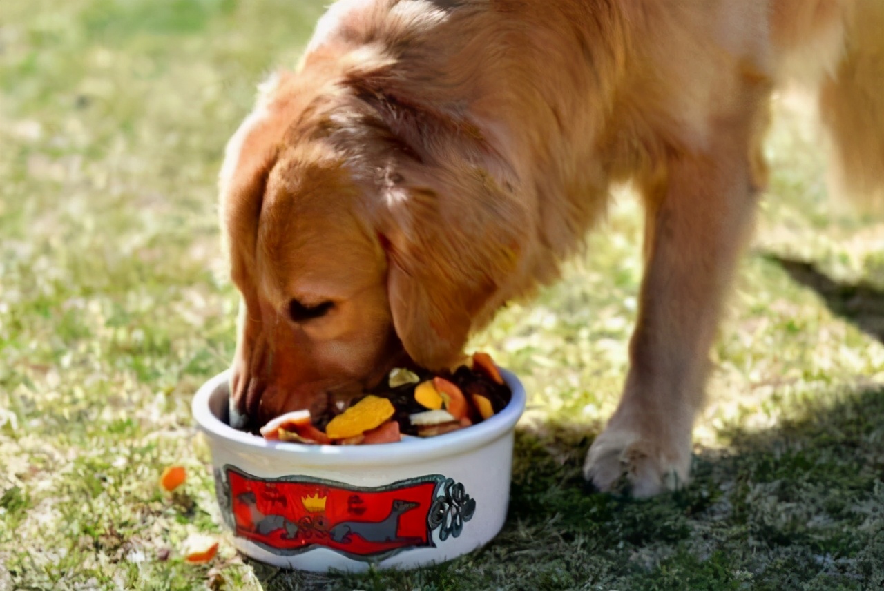 狗狗缺乏微量元素吃什么,狗狗微量元素哪个牌子好