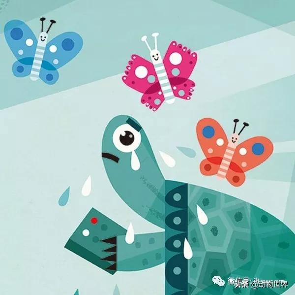 动物世界冷知识-乌贼进食首先要经过的脑部？