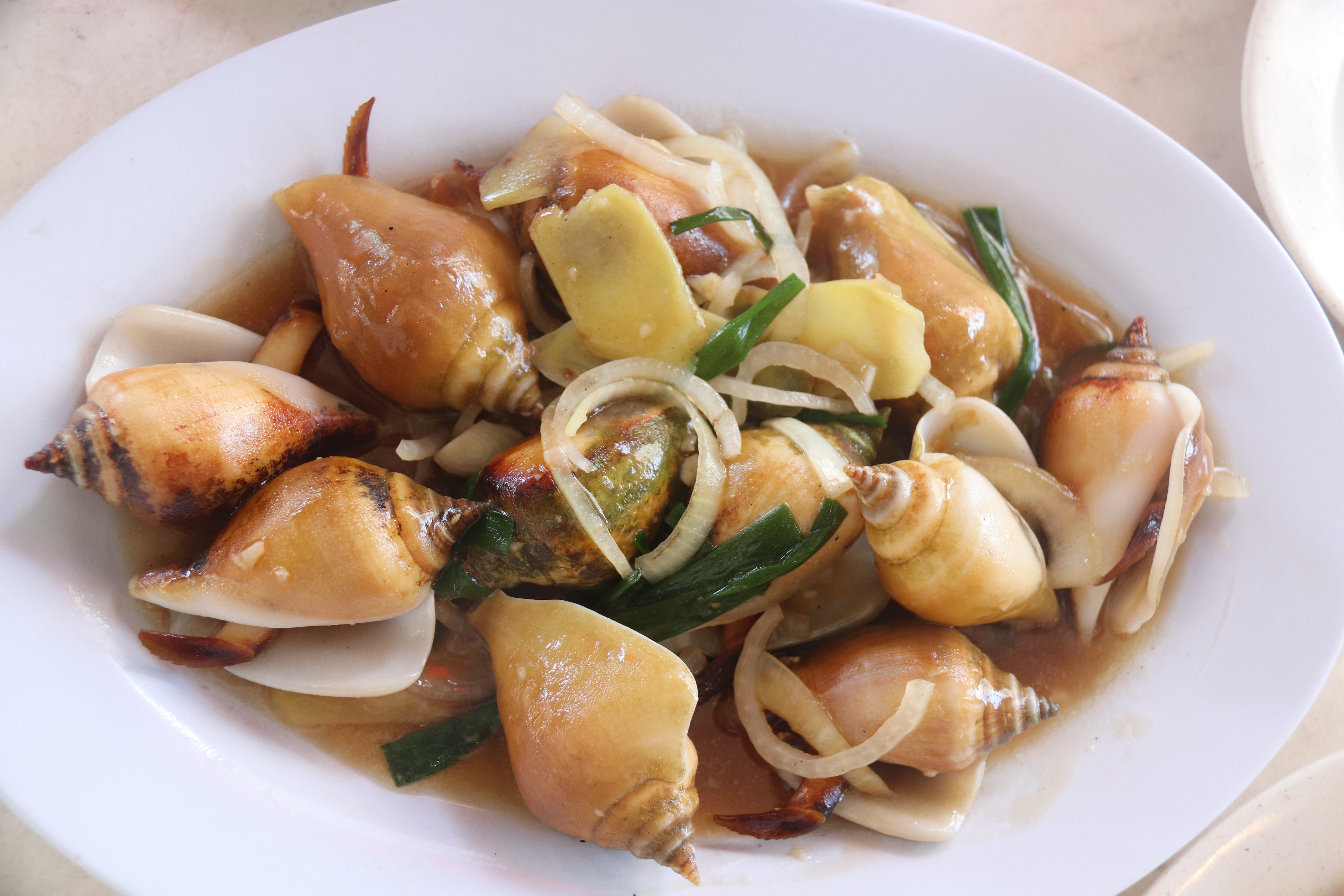 2018马来西亚之旅留影,2019回眸