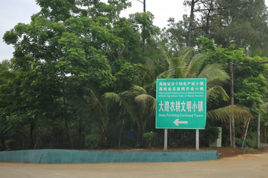 海南黄金百香果纯甜无酸,冰淇淋果图片和营养价值