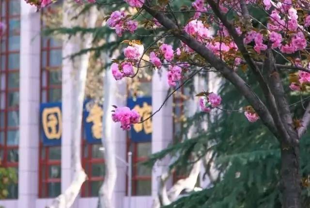 西安十大最差的大学,西安最差的十所大学