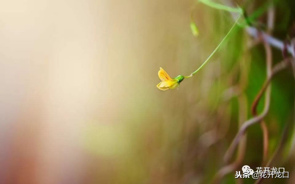不要把话说得太满了,七甲镇王洪莲照片