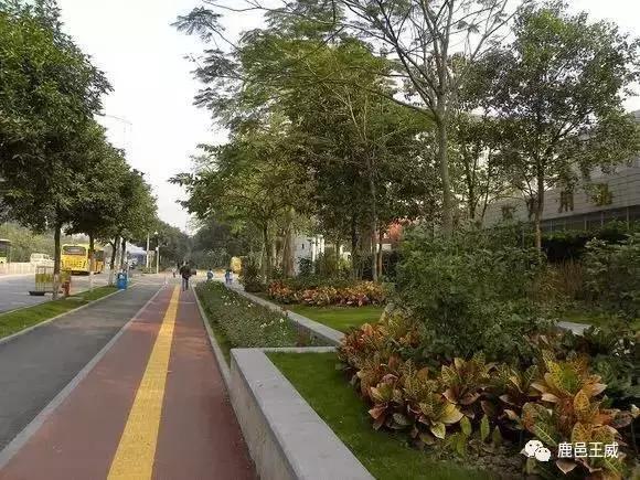 鹿邑县城市改造,百城提质