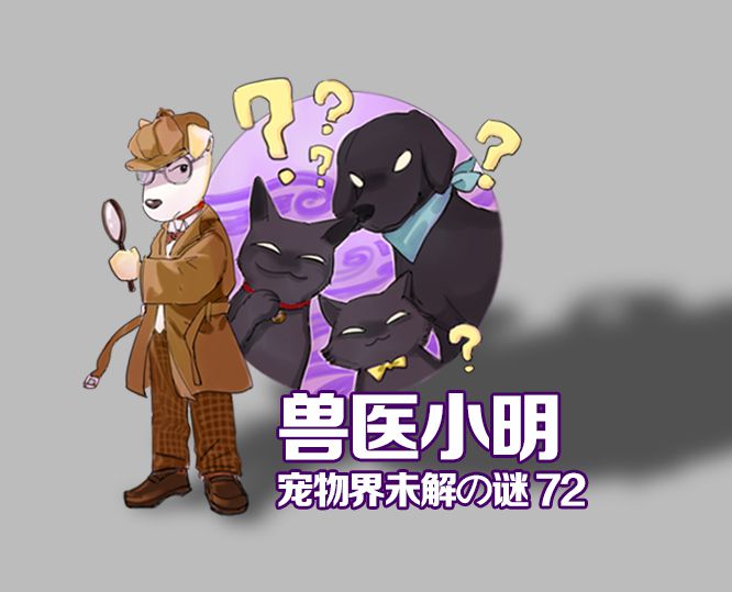 辟谣狗狗每年不需要打预防针,辟谣狗狗突然大量喝水