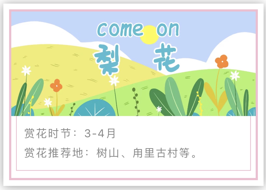 苏州赏花推荐景点有哪些,苏州赏花踏青攻略