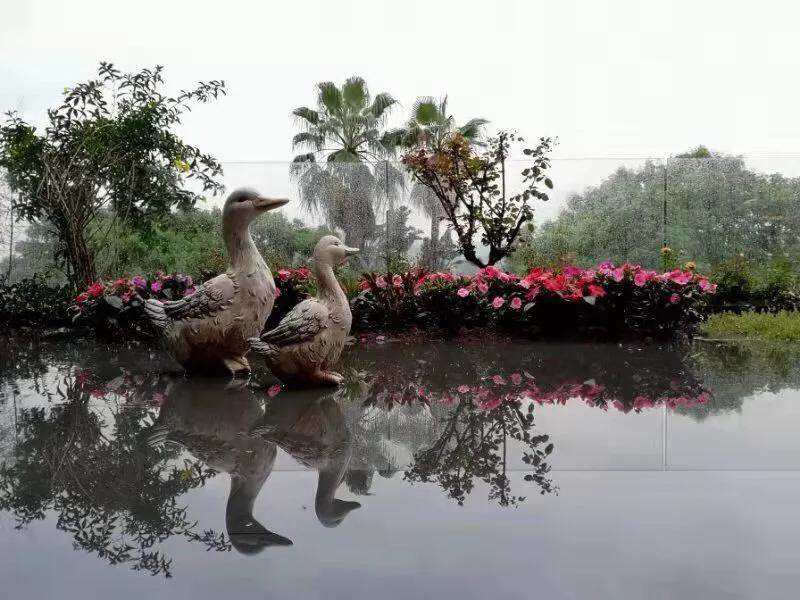 手拍世界完整版视频,手拍世界作品专集