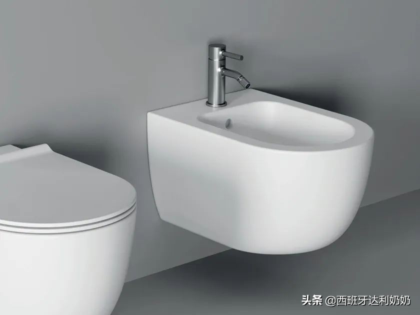 为什么西班牙家庭有两个坐便器？