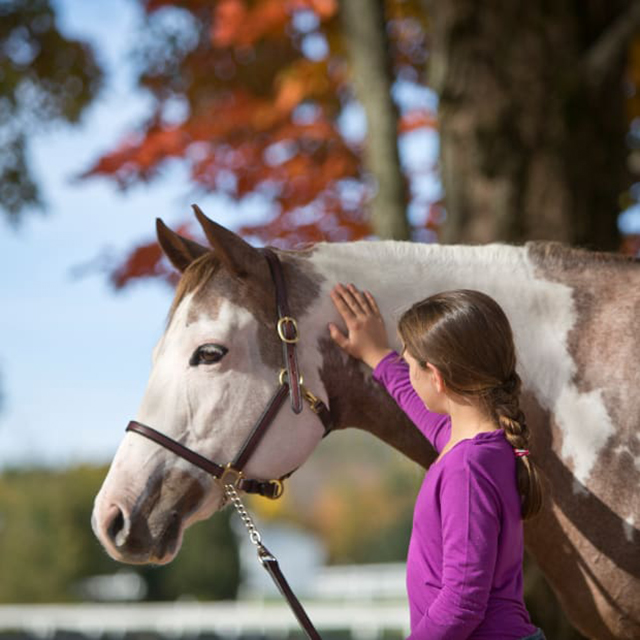 骑马能治好哪些病,马术能治疗什么