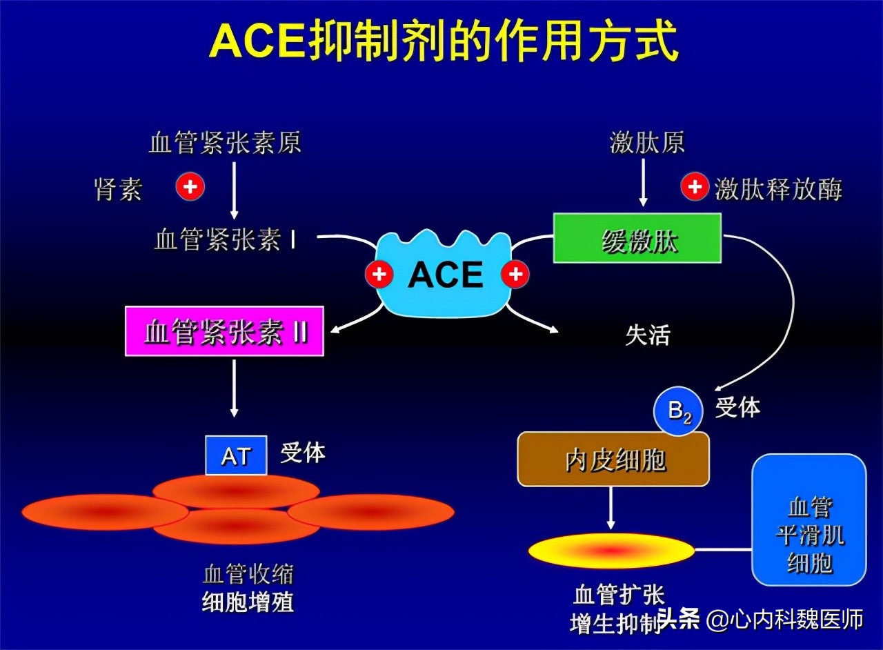 低压高高血压如何选择降压药,血压低压93应吃什么药降压
