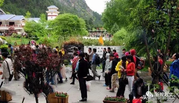 九寨黄龙避坑指南,九寨黄龙风景区旅游攻略