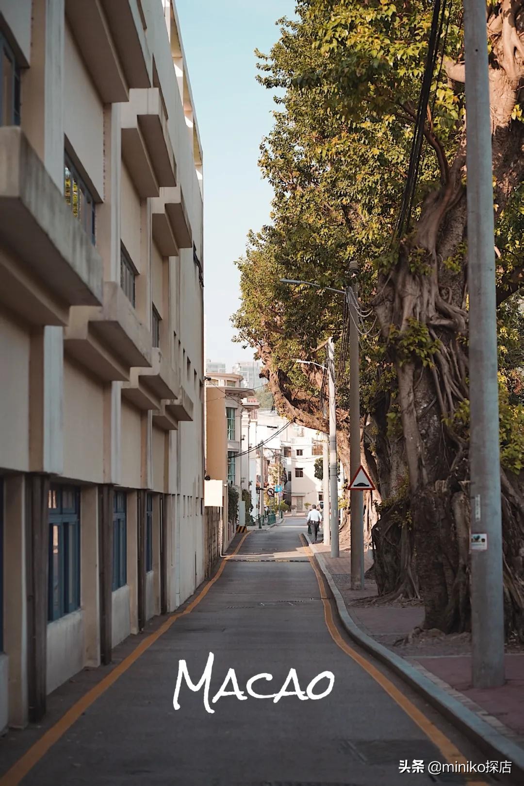 一起去澳门好吗,一起去澳门旅行