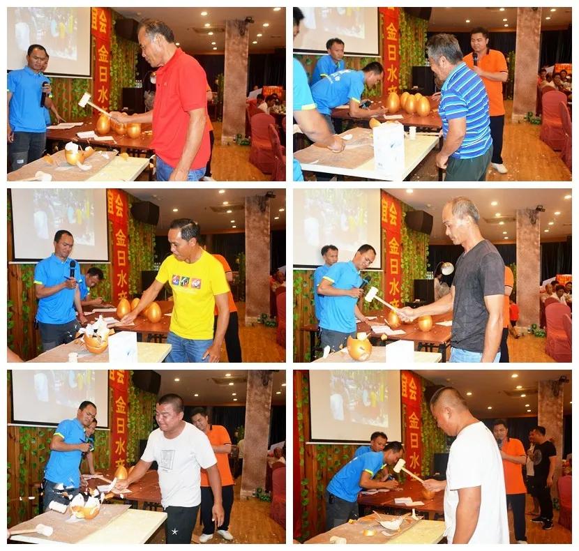 石斑鱼寄生虫类疾病防控技术,石斑鱼孢子虫最佳防治方法