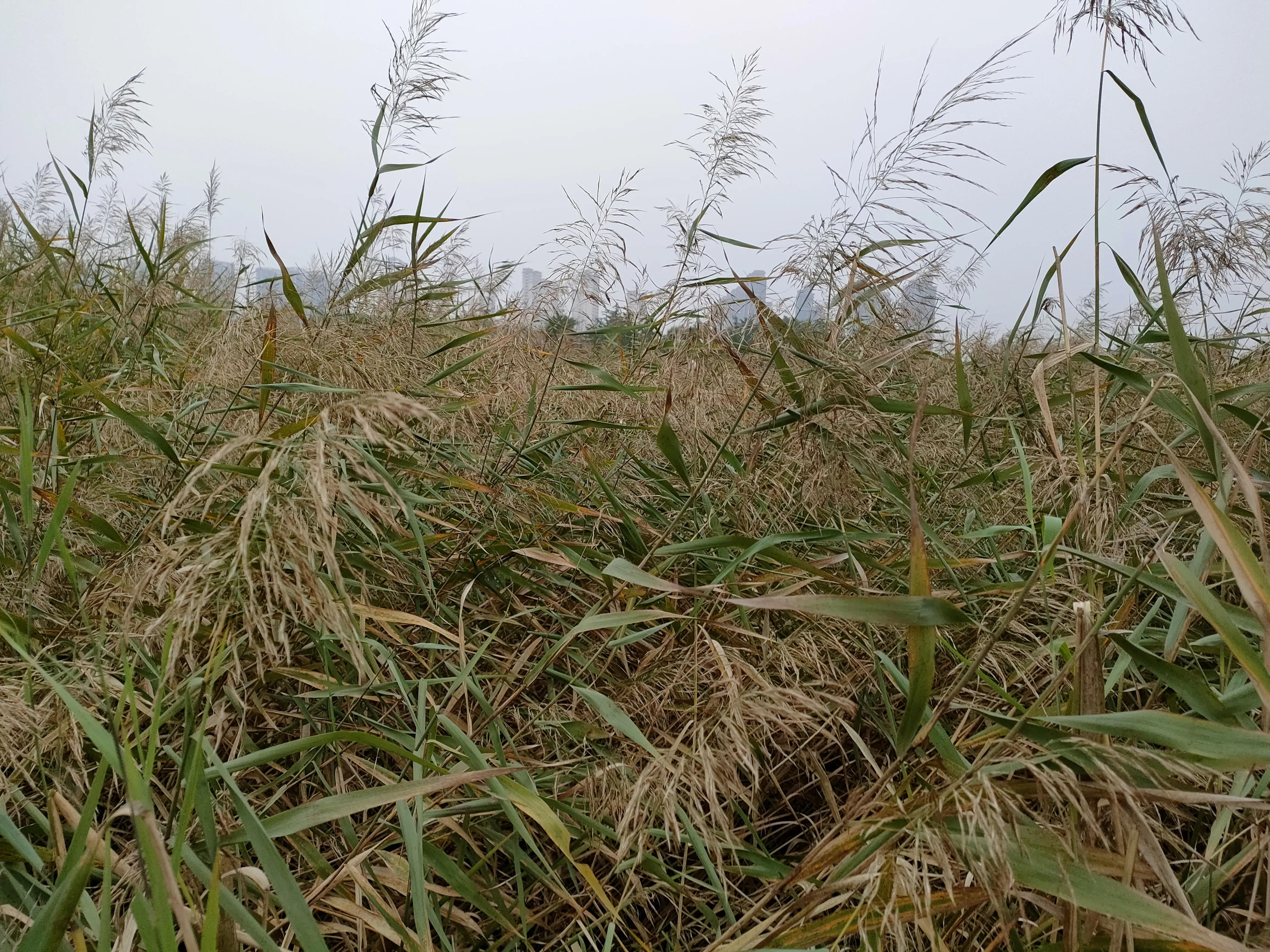 游西安曲江海洋极地公园,国庆去西安海洋极地公园