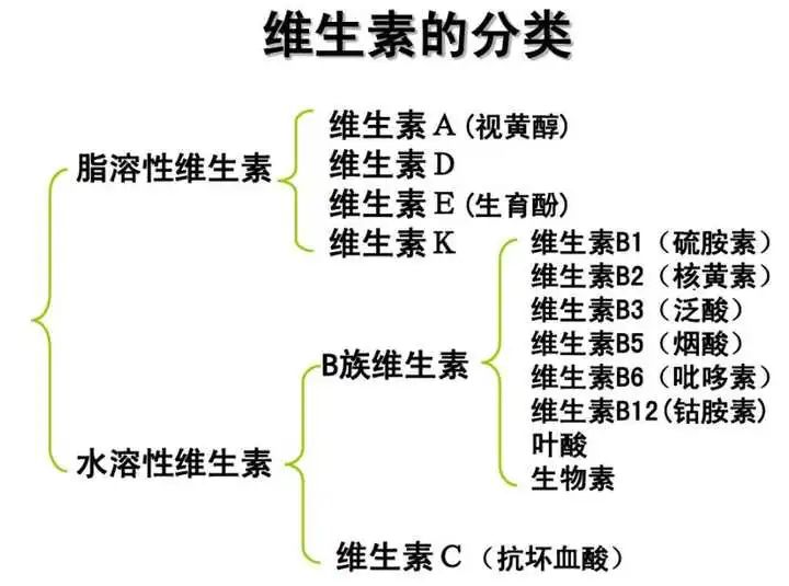 护肤品的化学成分,护肤品成分化学名叫什么
