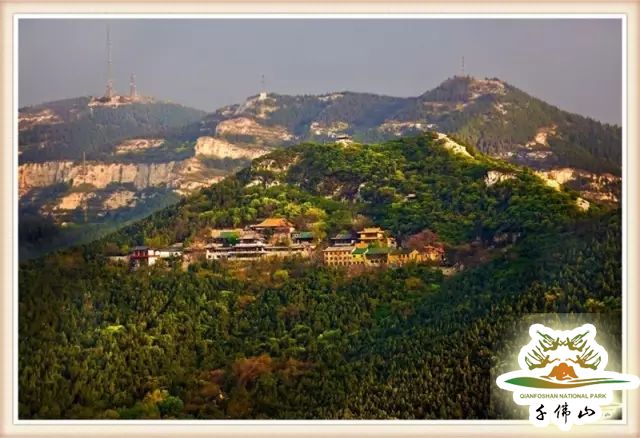 郝玉彩行走民俗文化：济南舜耕历山的民俗传说——“象耕鸟耘”