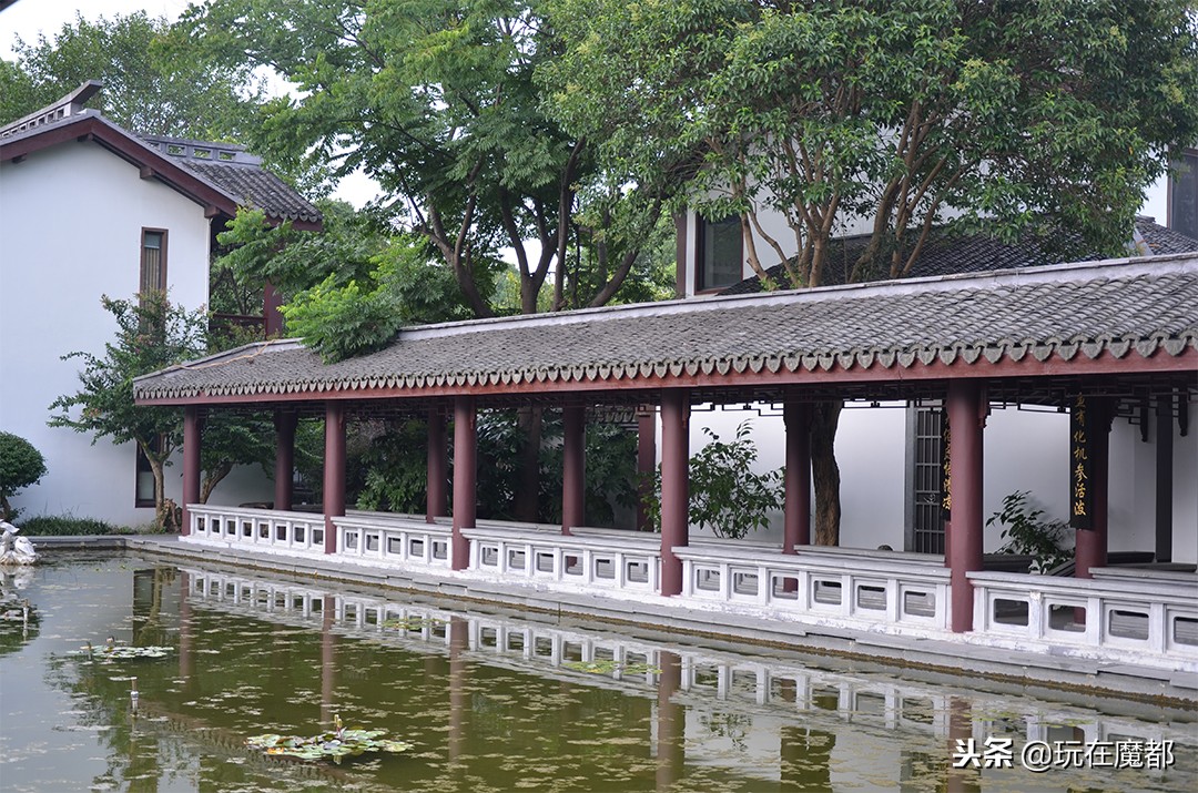 上海以农业为主的区,上海郊区发展最好的镇