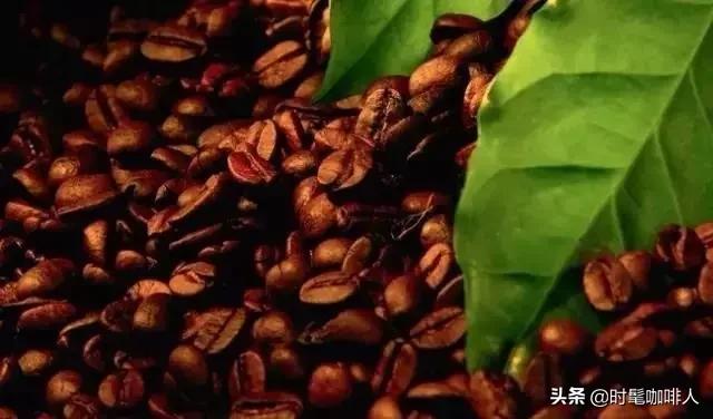 巴西咖啡可乐,巴西咖啡