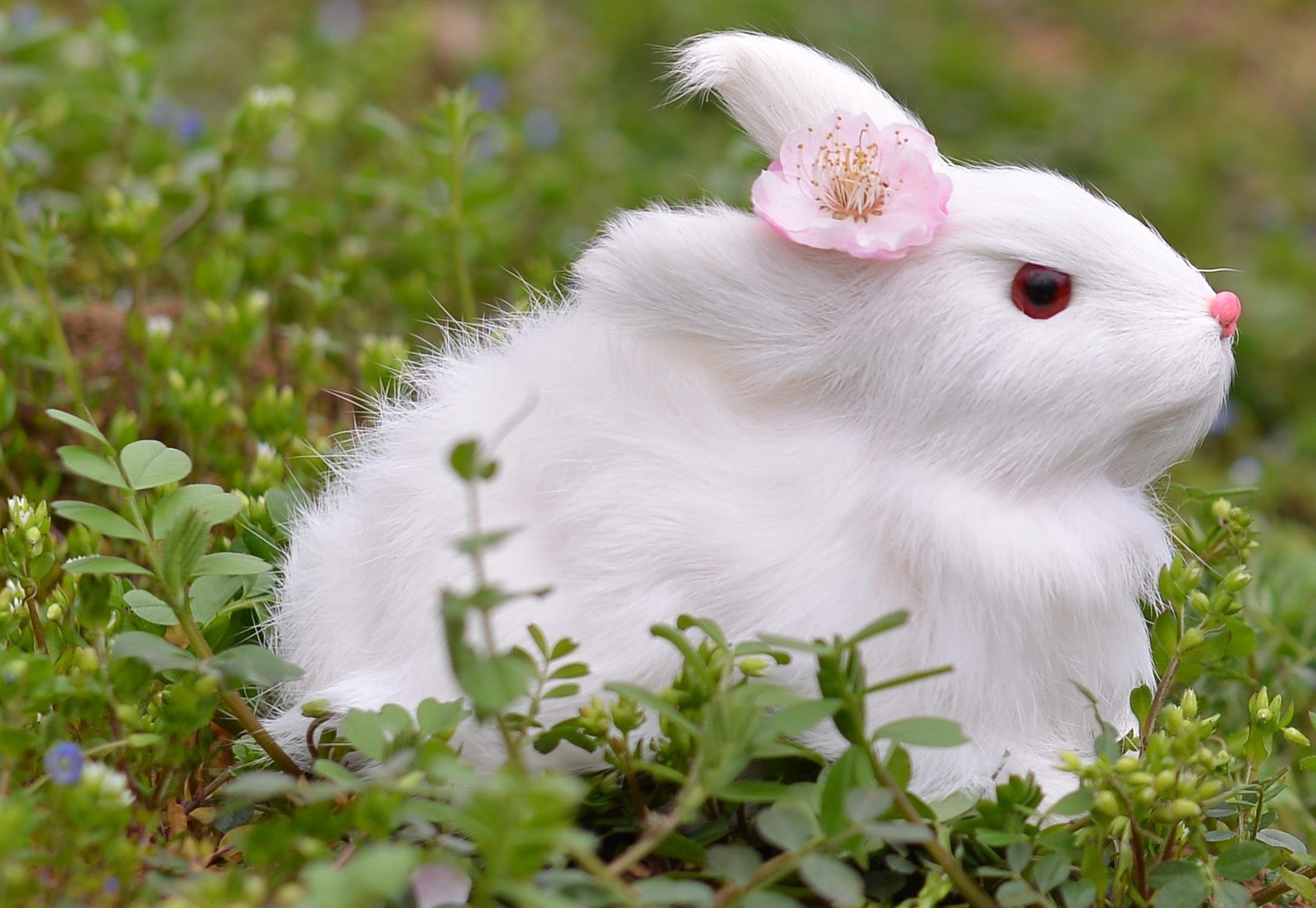 尼康2021年新相机,尼康2021年新相机及镜头展望