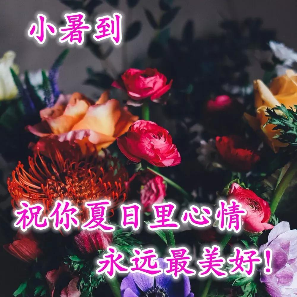 小暑节气图片祝福短句,小暑节气图片横款