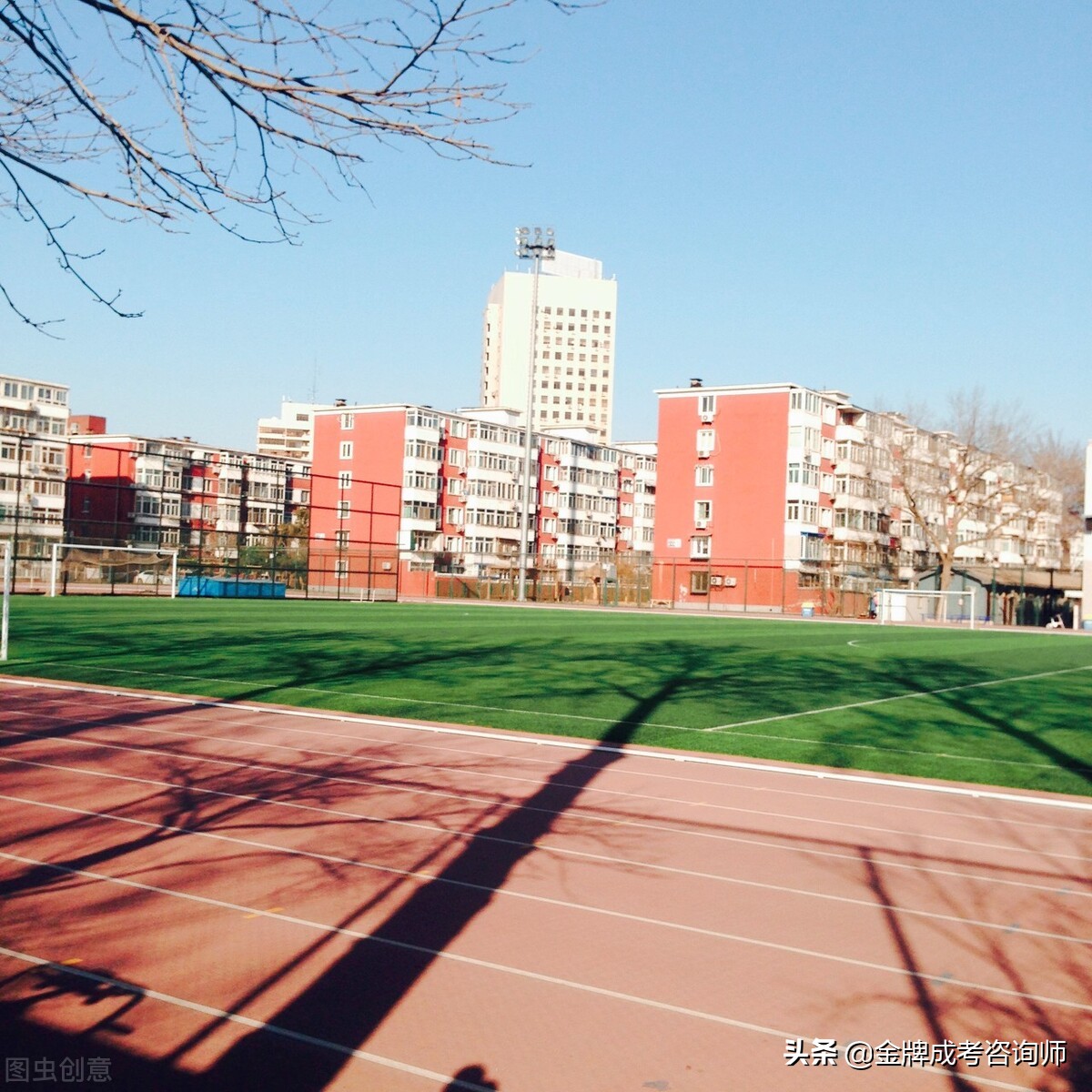 政治学没基础能学懂吗,政治学真的很难就业吗