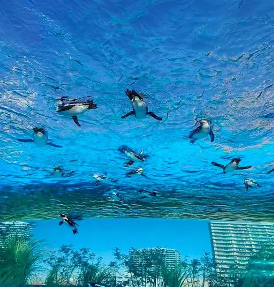 日本东京池袋攻略,日本东京池袋旅游攻略