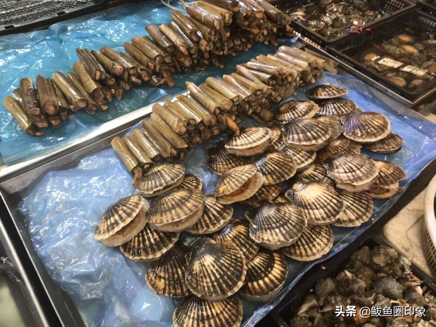 鲅鱼圈鞍钢海鲜市场,鲅鱼圈鞍钢小市场