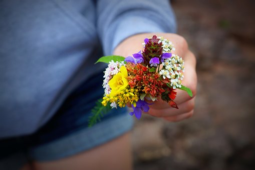 濂崇敓鑳搁儴鍙戣偛涓嶆尯鐩磋儗,濂崇敓鑳搁儴濡備綍蹇偣鍙戣偛