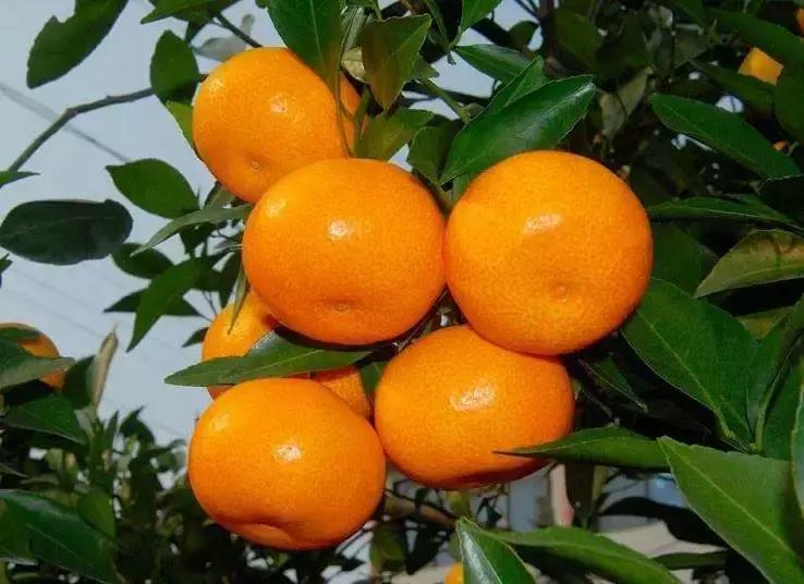 怀邵衡铁路开启三市人民便捷之路,怀邵衡铁路开通能增加多少趟车次