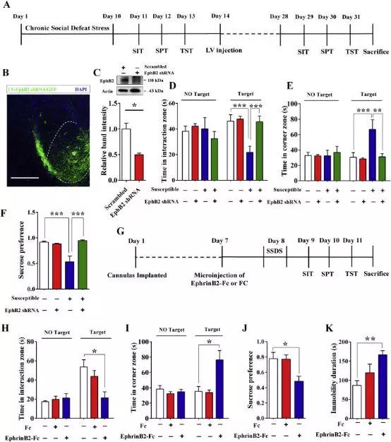成人抑郁症的心理治疗方法,成人抑郁症自我治疗