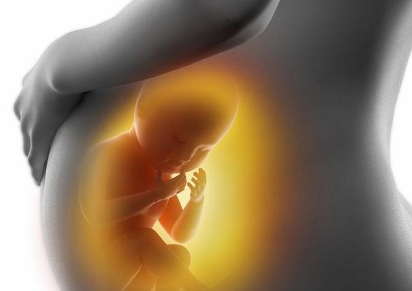 孕婴知识大全书籍,孕婴知识大全