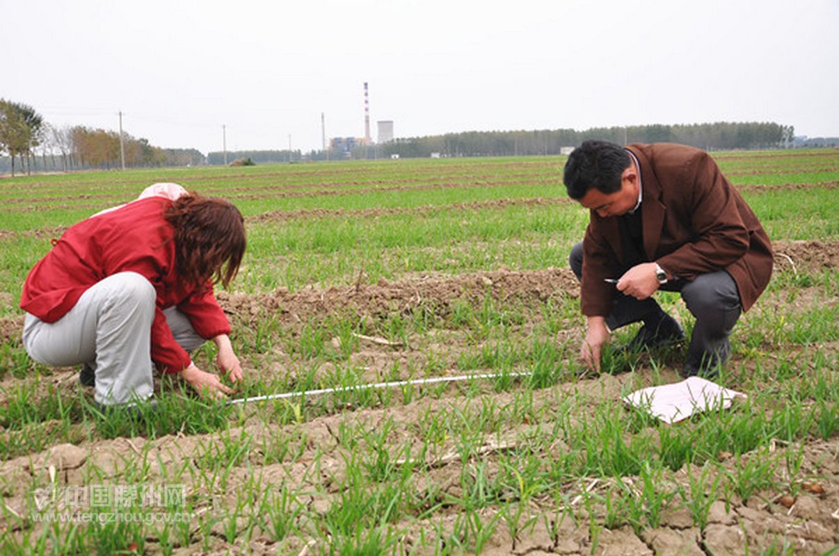 河南农村老伯埋怨自己“话太多,管太宽”害得儿子离了婚,咋回事