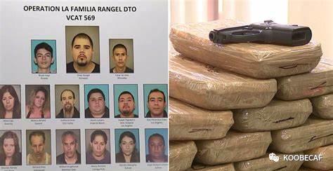 美国拉丁裔帮派,美国白人帮派落寞