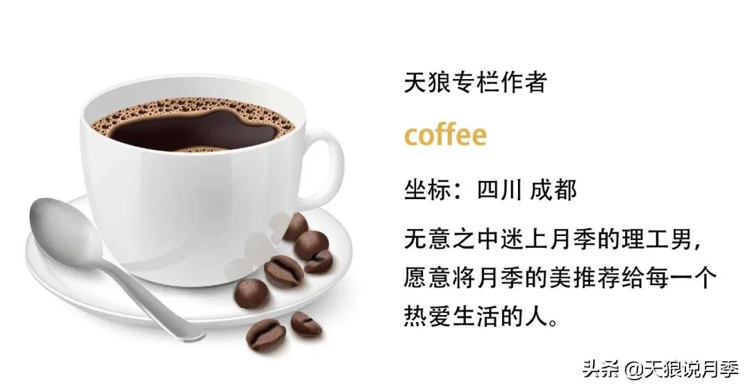 清新淡淡的月季花香水推荐,月季花香的香水有哪些