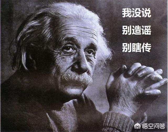 预言蜜蜂灭绝真相,爱因斯坦预言蜜蜂消失人类灭亡