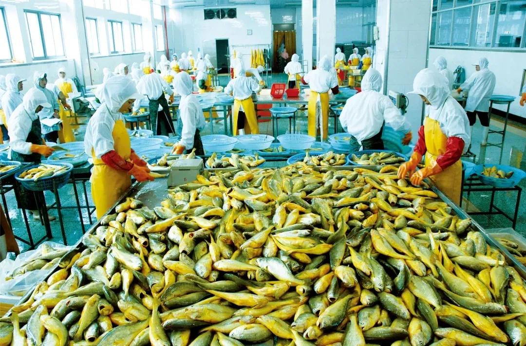 第一届T11“好物营九大爆款”正式出道，请你来打call