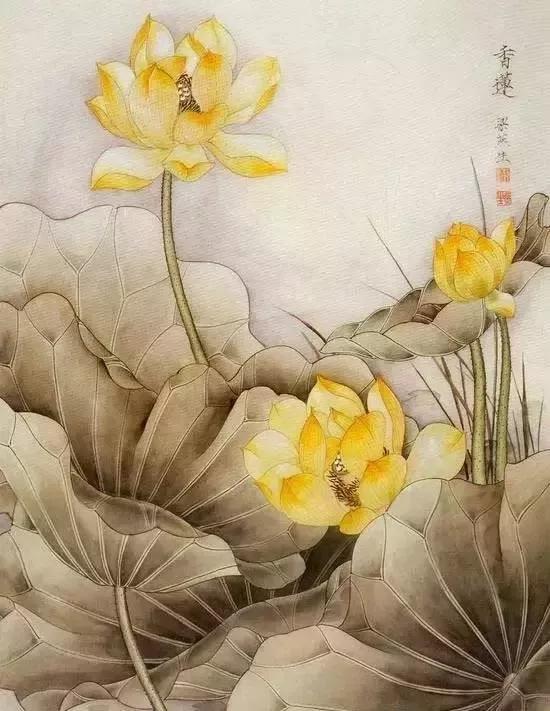 工笔画纸的基础知识,工笔画勾线基础知识