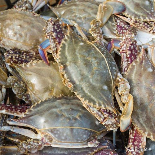 铻冭煿娉ㄦ按杈熻埃,铻冭煿琚笉灏忓績鏀炬按閲屼簡