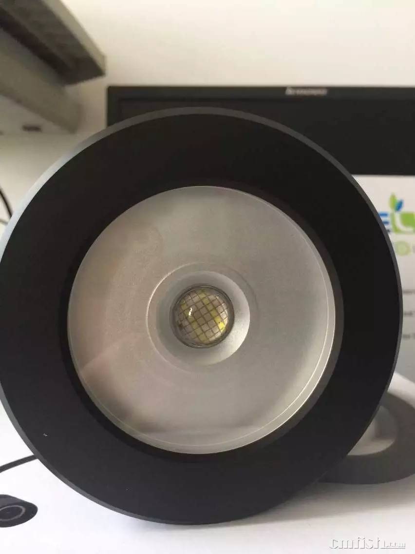 KELO钜彩照明LED水族灯试用活动鱼友评测详情(二)