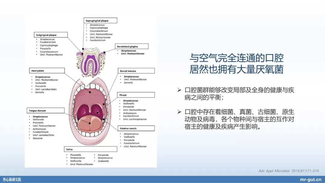 热心肠先生益生菌视频大全,热心肠先生全集