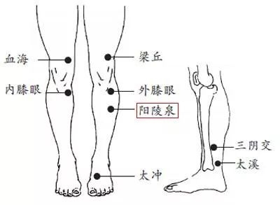 大腿胆经堵塞有什么症状,胆经堵塞疏通调理有七招