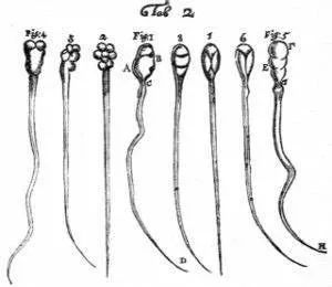奇怪的知识增加了手指长度,奇怪的知识增加了图片大全