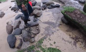 海上直播赶海视频,山东海阳赶海直播