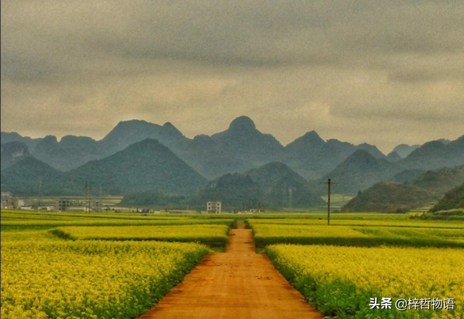 知乎摘录精彩问答56条,读后让人豁然开朗!