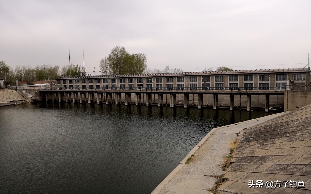 国家湿地候鸟保护区,黄河入海口处湿地候鸟迁徙路线