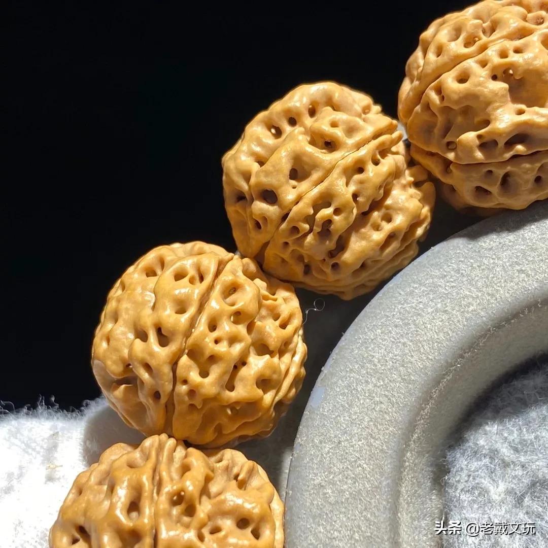 安娜大金刚来源,安娜大金刚价格