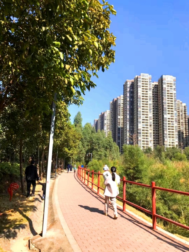 传说中的金沙,金沙世纪城最好小区