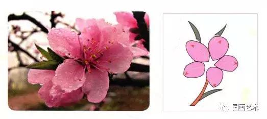 教你画好5个瓣!从笔尖到笔根画好桃花,这样画真的太简单了!