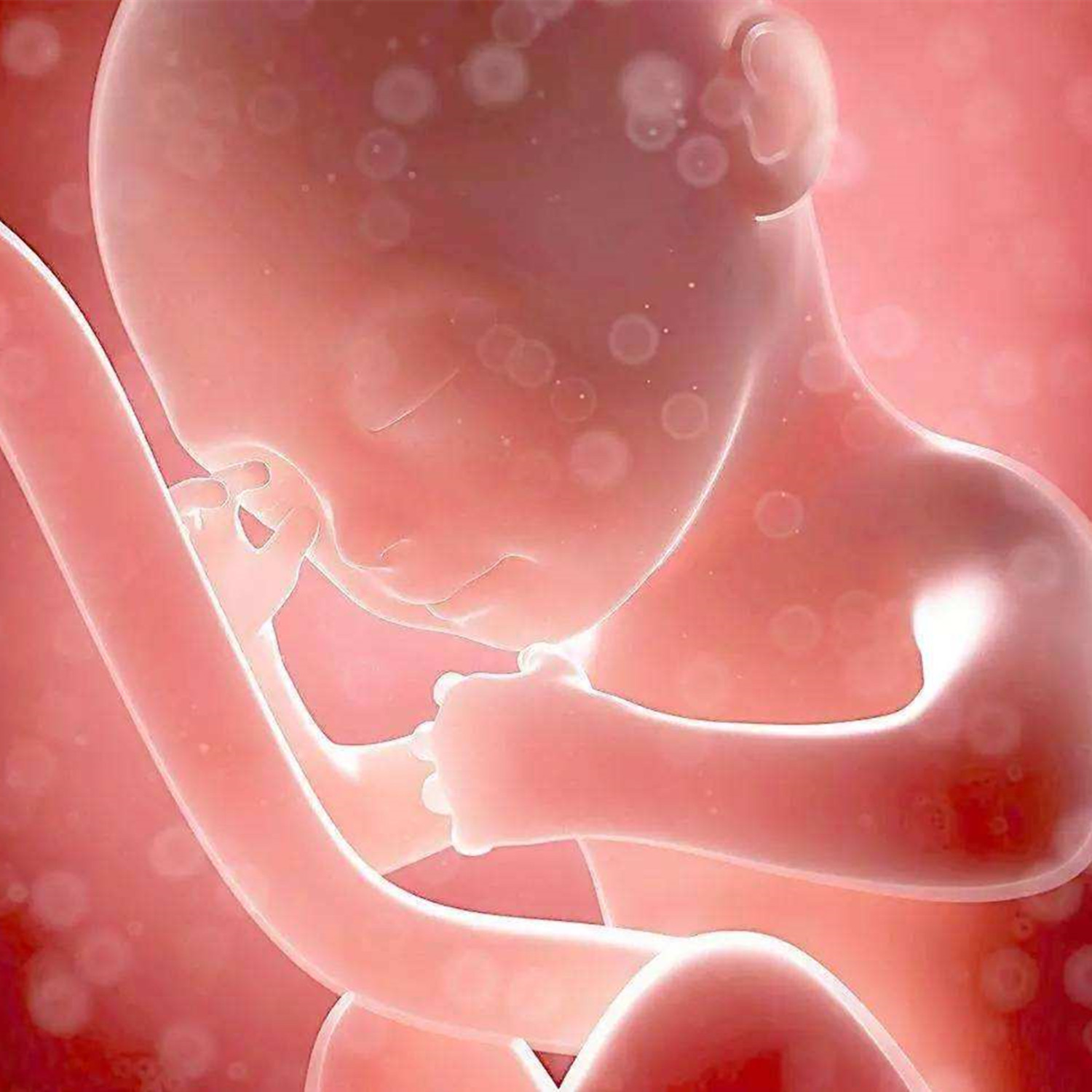 孕期不同阶段胎动规律也不同,了解三个技巧,才能正确数出胎动