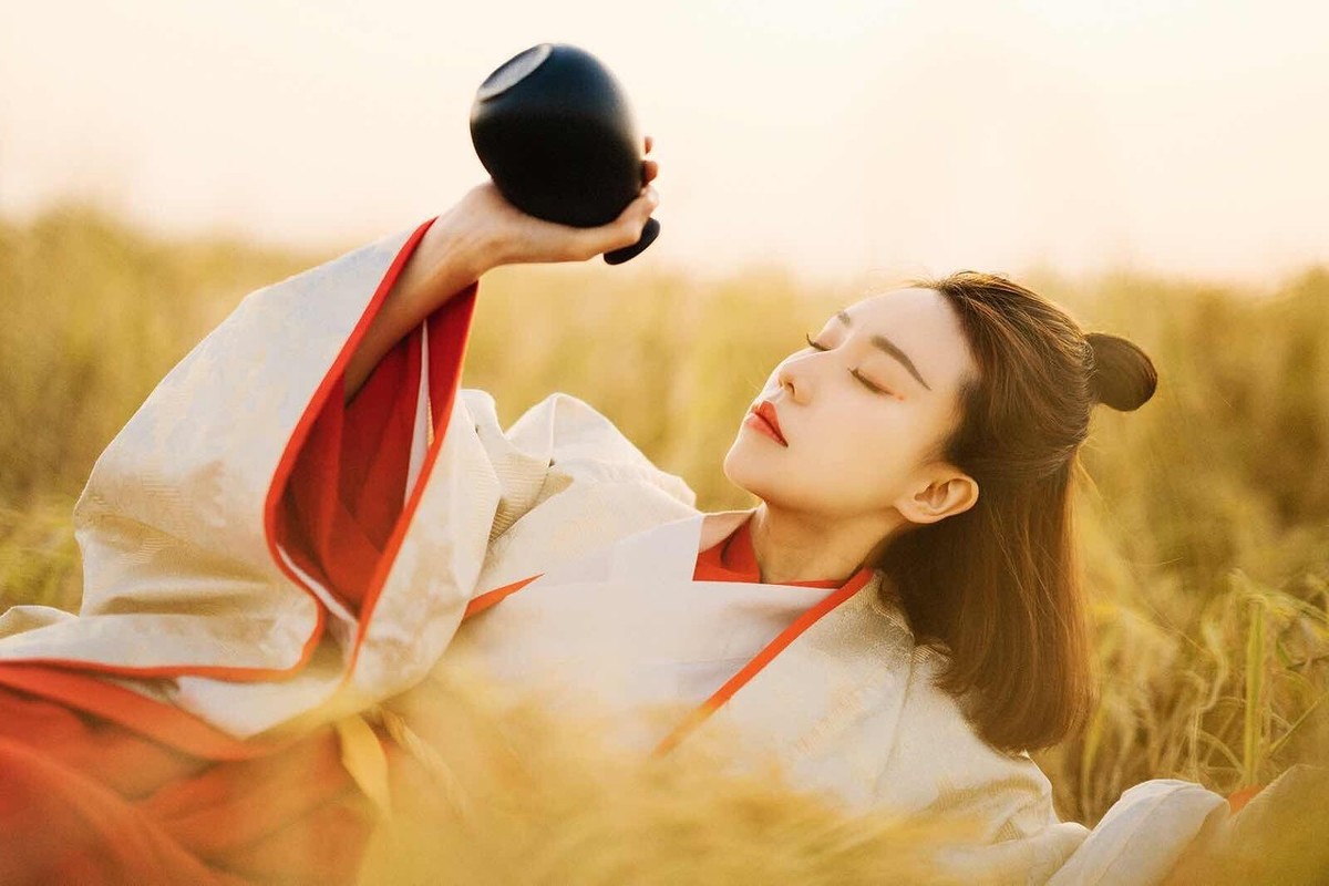 水调歌头明月几时有运用的手法,次韵水调歌头如何填词