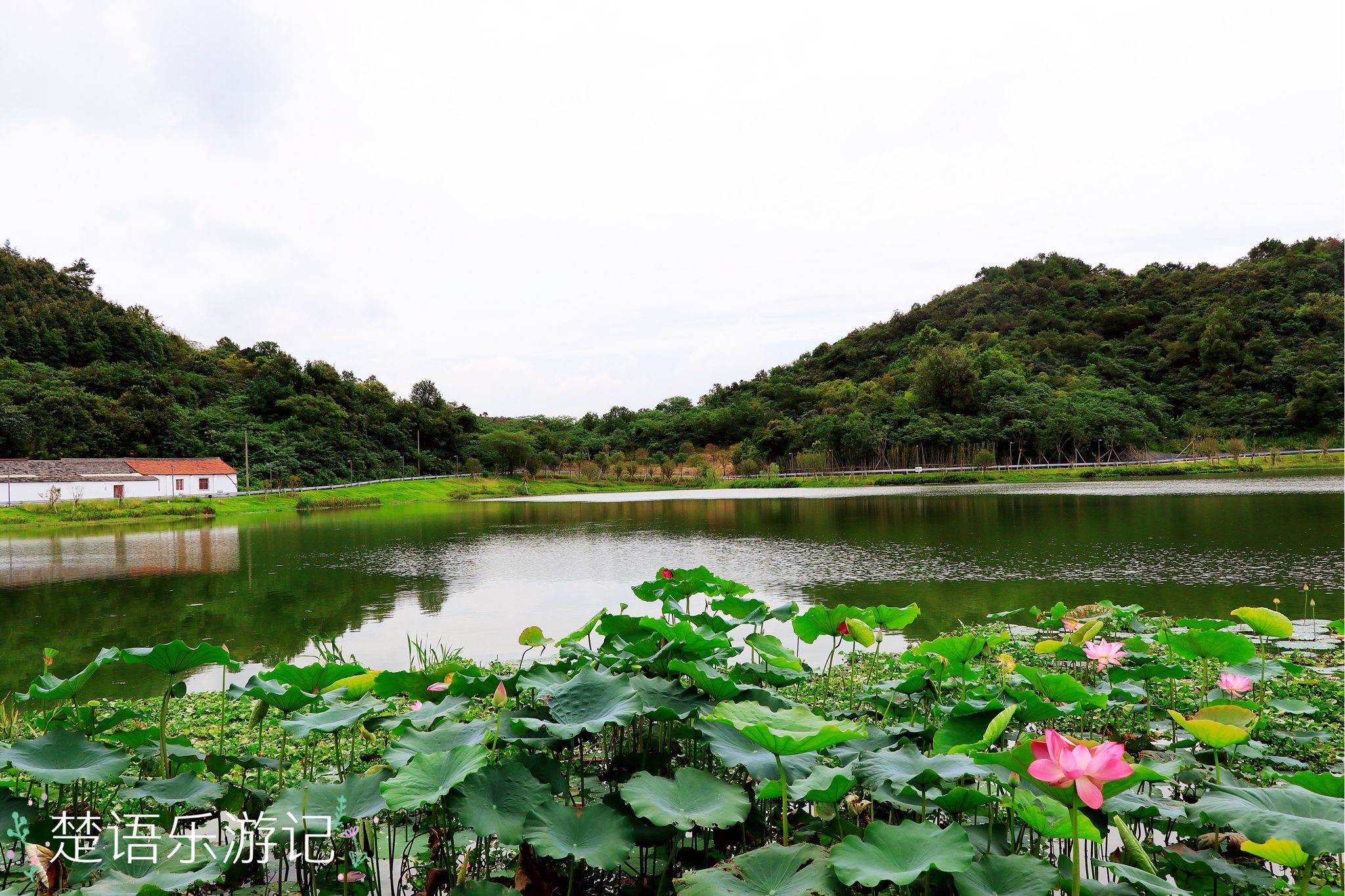 宁波慈城打卡网红景点,宁波慈城免费景点